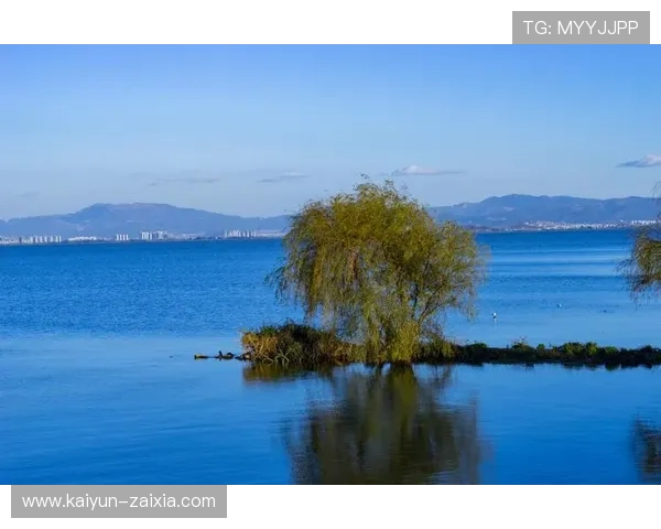 探索博雅德州：多元文化与自然风光的完美结合